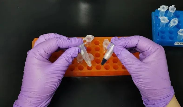 黄A无码片内射无码视频