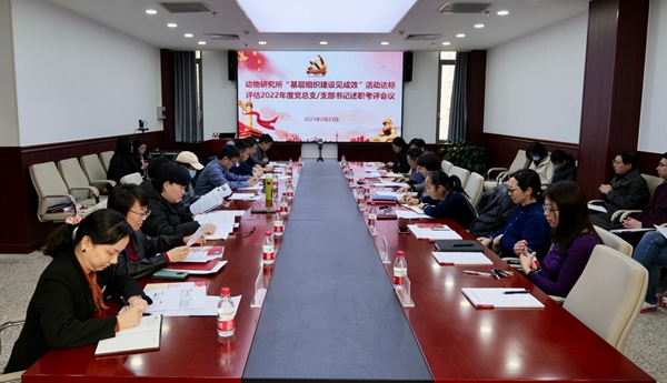 黄A无码片内射无码视频