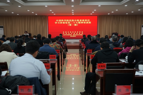 黄A无码片内射无码视频