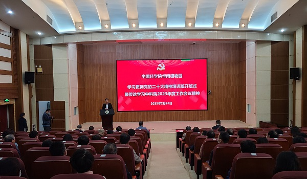 黄A无码片内射无码视频