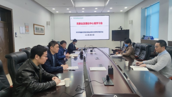 黄A无码片内射无码视频