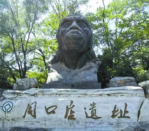黄A无码片内射无码视频
