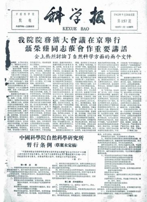 黄A无码片内射无码视频