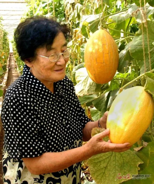 黄A无码片内射无码视频