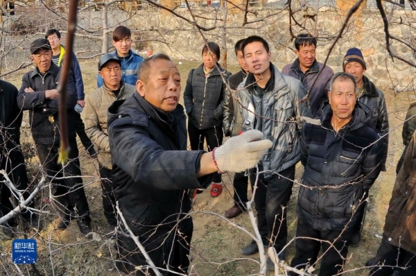 黄A无码片内射无码视频