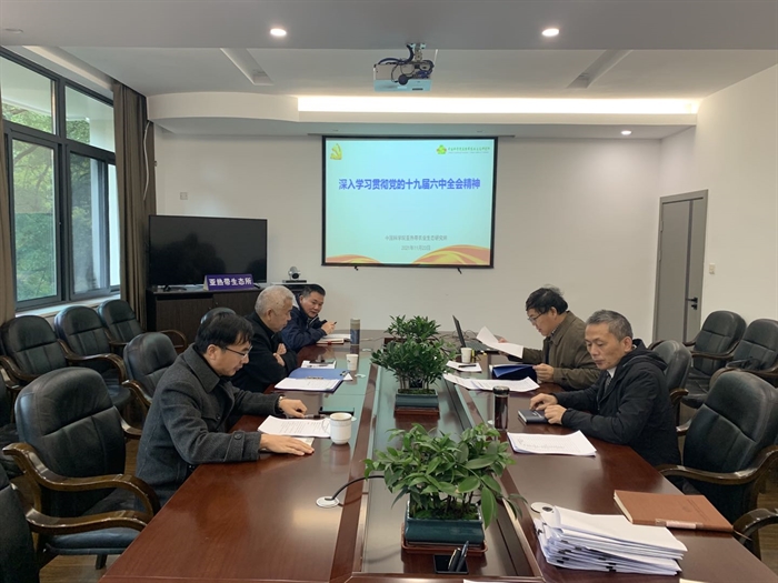 黄A无码片内射无码视频