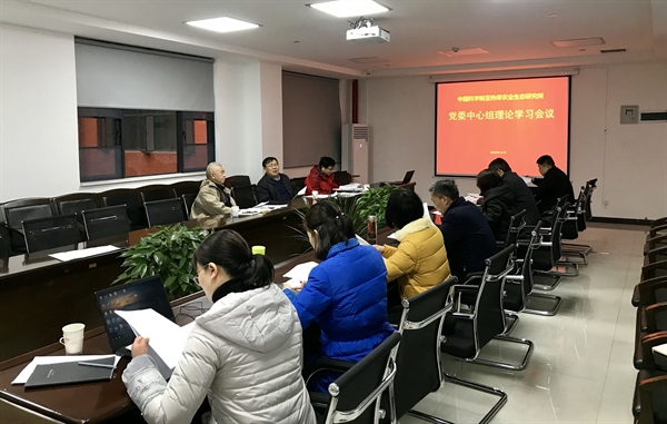 黄A无码片内射无码视频