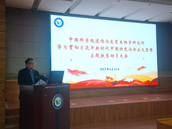 黄A无码片内射无码视频