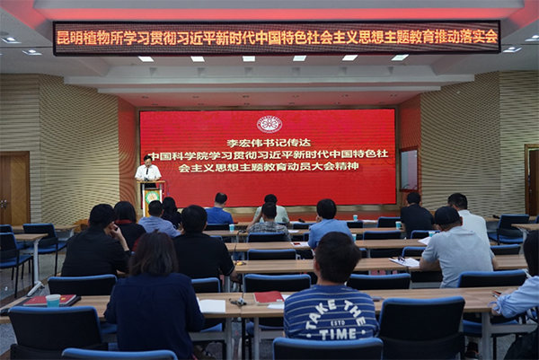 黄A无码片内射无码视频