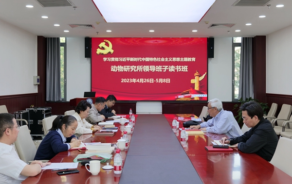黄A无码片内射无码视频