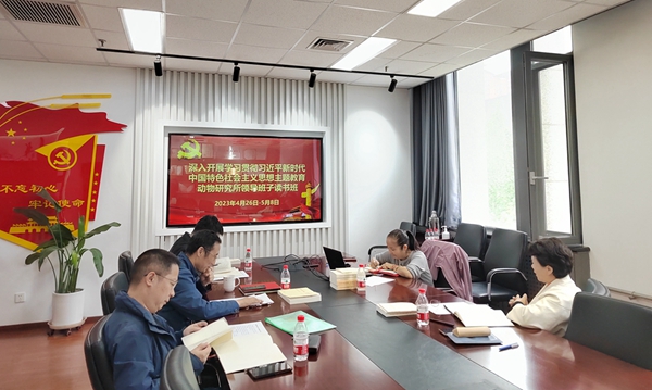 黄A无码片内射无码视频