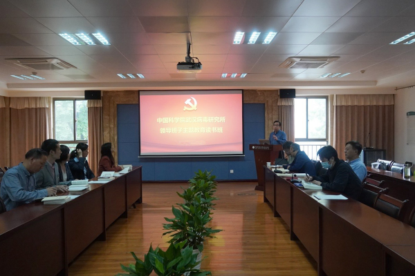 黄A无码片内射无码视频