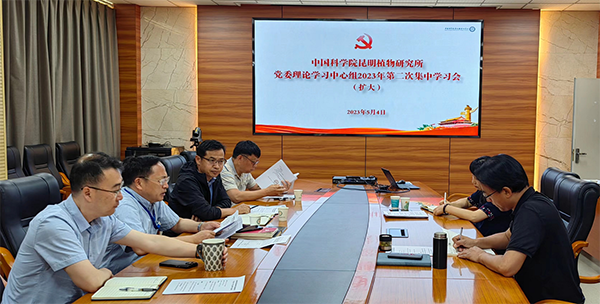 黄A无码片内射无码视频