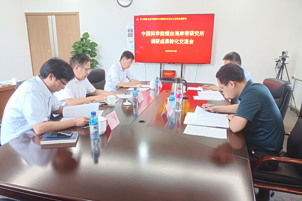 黄A无码片内射无码视频