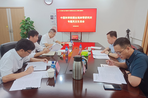 黄A无码片内射无码视频