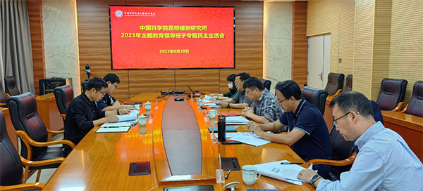 黄A无码片内射无码视频