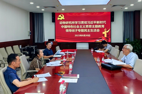 黄A无码片内射无码视频