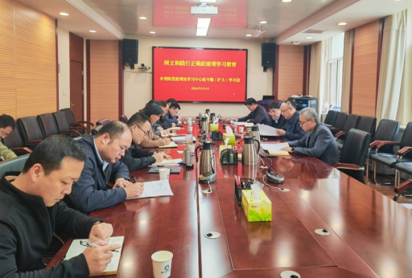 黄A无码片内射无码视频