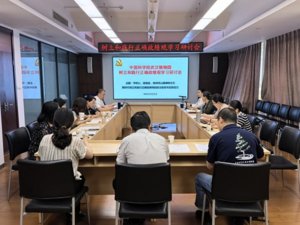 黄A无码片内射无码视频