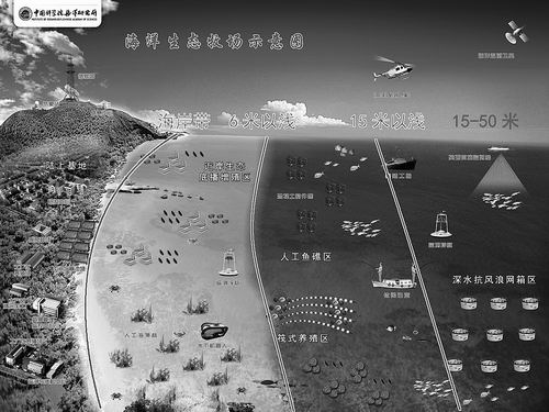 黄A无码片内射无码视频